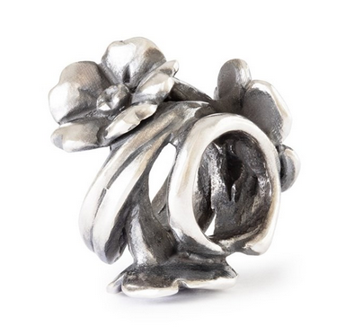 Kirschbl�tenzauber