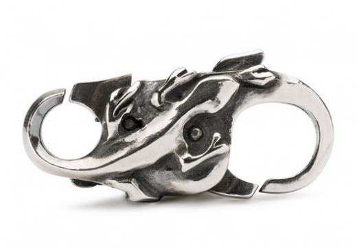 Eidechsen Verschluss